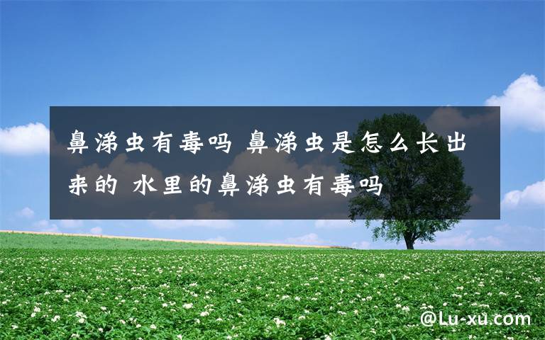 鼻涕虫有毒吗 鼻涕虫是怎么长出来的 水里的鼻涕虫有毒吗