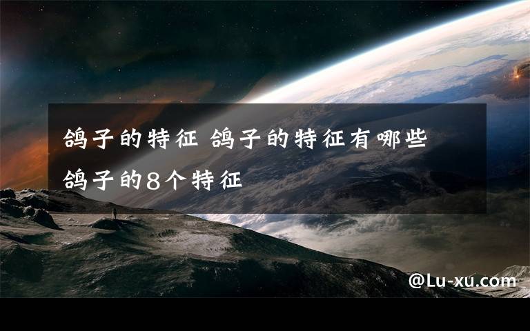 鸽子的特征 鸽子的特征有哪些 鸽子的8个特征