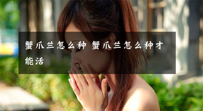 蟹爪兰怎么种 蟹爪兰怎么种才能活