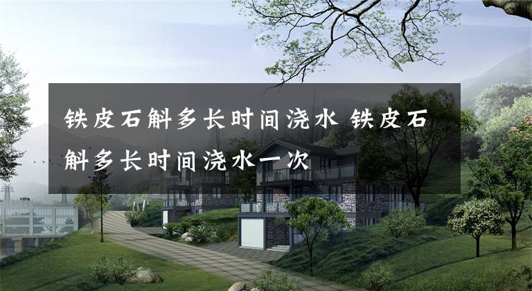 铁皮石斛多长时间浇水 铁皮石斛多长时间浇水一次
