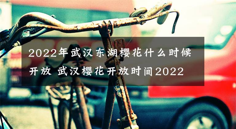 2022年武汉东湖樱花什么时候开放 武汉樱花开放时间2022