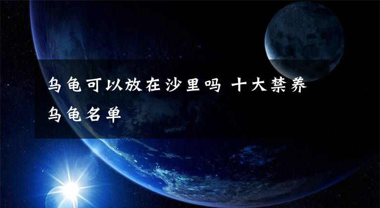 乌龟可以放在沙里吗 十大禁养乌龟名单