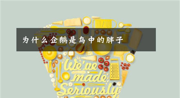 为什么企鹅是鸟中的胖子
