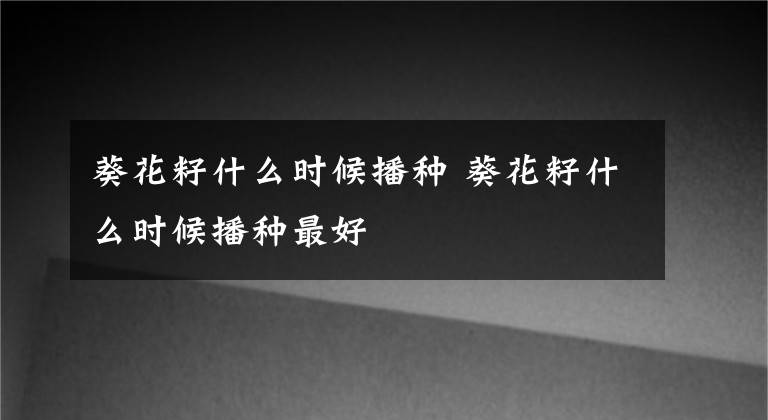 葵花籽什么时候播种 葵花籽什么时候播种最好