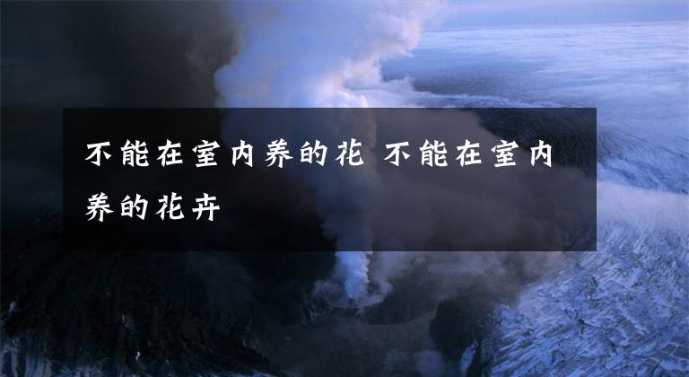 不能在室内养的花 不能在室内养的花卉