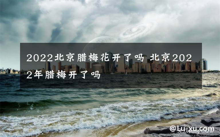 2022北京腊梅花开了吗 北京2022年腊梅开了吗