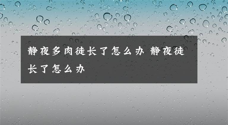 静夜多肉徒长了怎么办 静夜徒长了怎么办