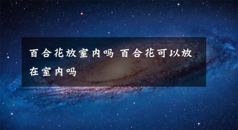 百合花放室内吗 百合花可以放在室内吗