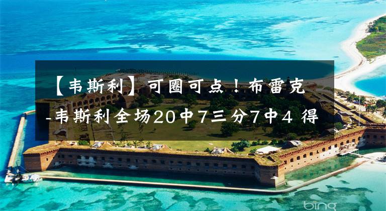 【韦斯利】可圈可点！布雷克-韦斯利全场20中7三分7中4 得到22分5篮板