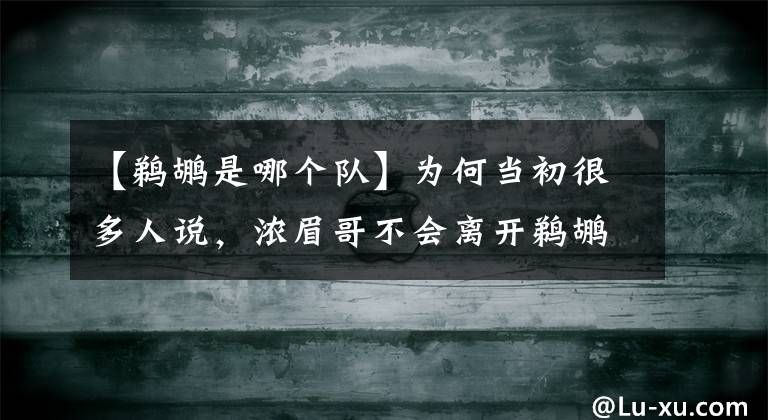【鹈鹕是哪个队】为何当初很多人说，浓眉哥不会离开鹈鹕队？也认为不会进入湖人队