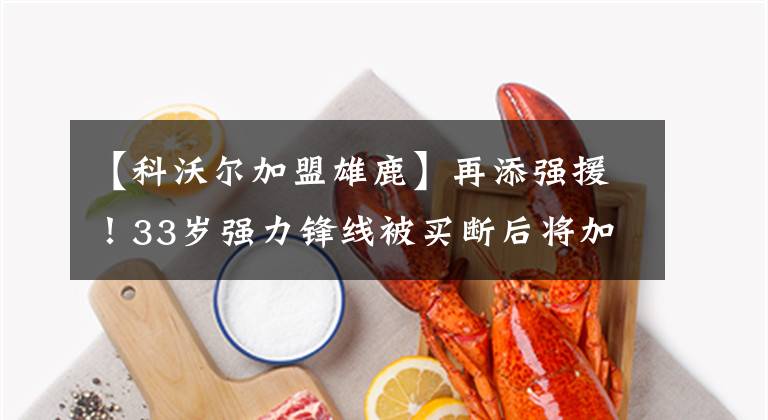【科沃尔加盟雄鹿】再添强援！33岁强力锋线被买断后将加盟雄鹿 他比科沃尔作用更大