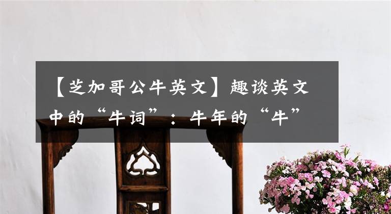 【芝加哥公牛英文】趣谈英文中的“牛词”：牛年的“牛”应该用哪个？