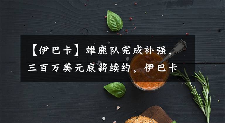 【伊巴卡】雄鹿队完成补强，三百万美元底薪续约，伊巴卡成为强队争冠拼图