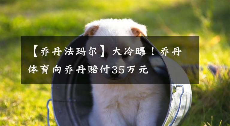 【乔丹法玛尔】大冷曝！乔丹体育向乔丹赔付35万元