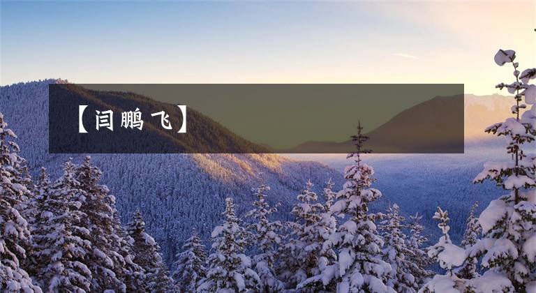 【闫鹏飞】