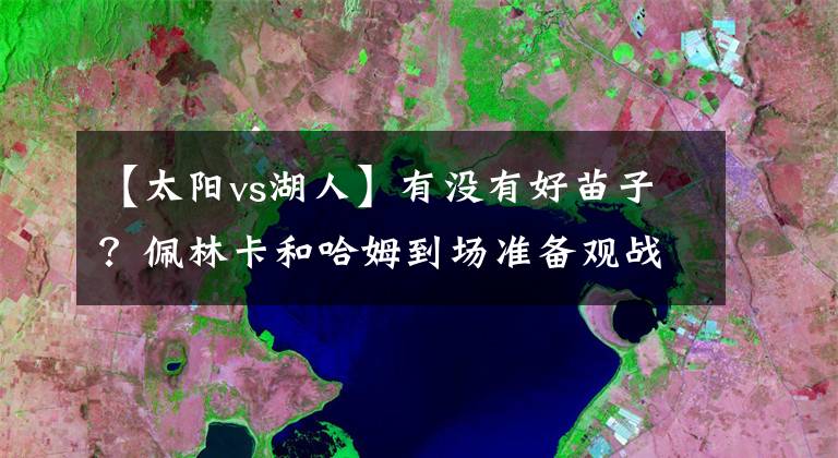 【太阳vs湖人】有没有好苗子？佩林卡和哈姆到场准备观战湖人VS太阳的比赛