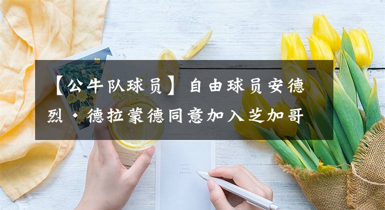 【公牛队球员】自由球员安德烈·德拉蒙德同意加入芝加哥公牛队