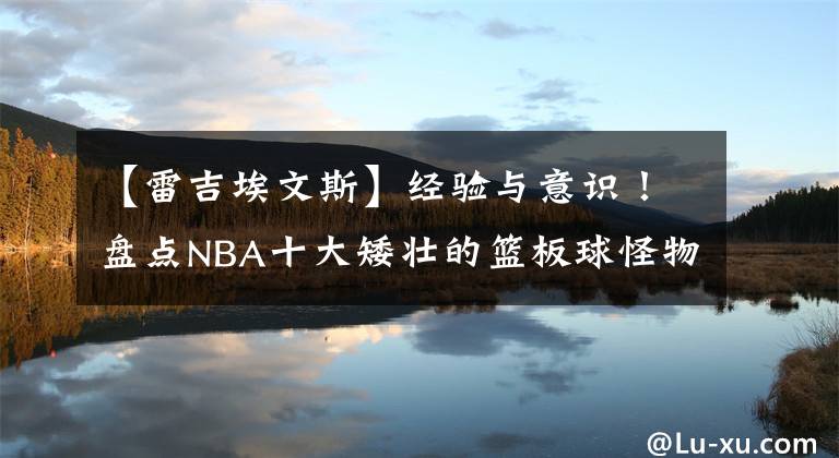 【雷吉埃文斯】经验与意识！盘点NBA十大矮壮的篮板球怪物：球权的完美保障！