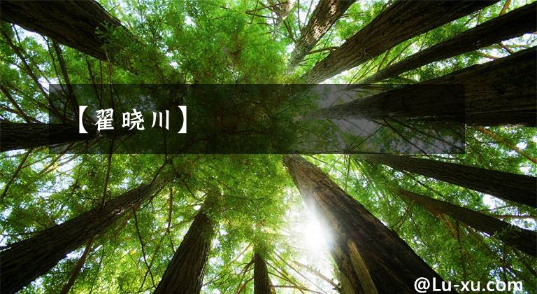 【翟晓川】