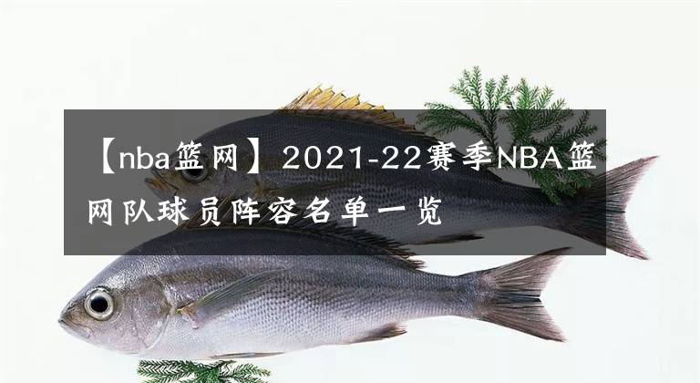【nba篮网】2021-22赛季NBA篮网队球员阵容名单一览