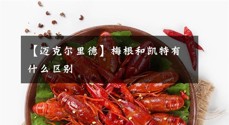 【迈克尔里德】梅根和凯特有什么区别
