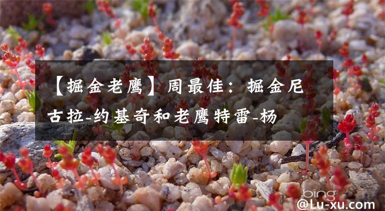 【掘金老鹰】周最佳：掘金尼古拉-约基奇和老鹰特雷-杨