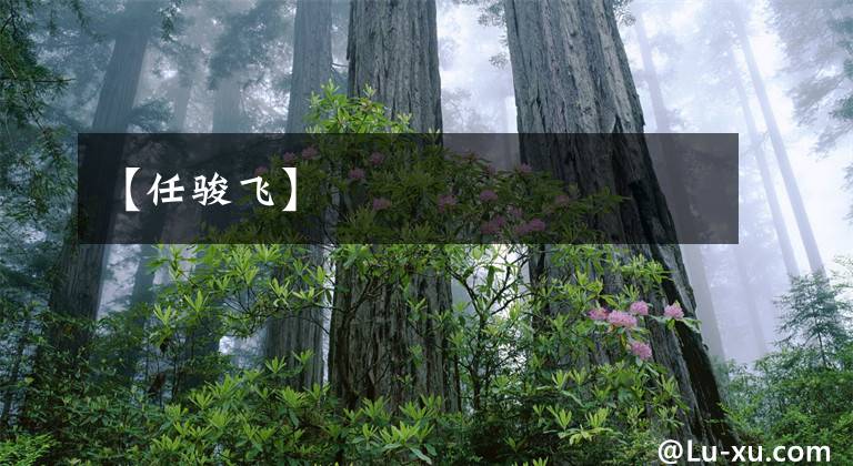 【任骏飞】