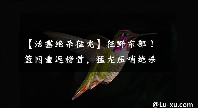 【活塞绝杀猛龙】狂野东部！篮网重返榜首，猛龙压哨绝杀，骑士活塞血洗西部劲旅