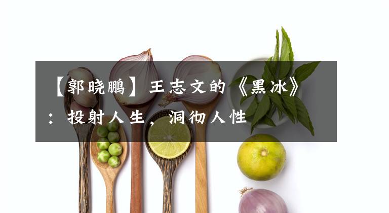 【郭晓鹏】王志文的《黑冰》：投射人生，洞彻人性
