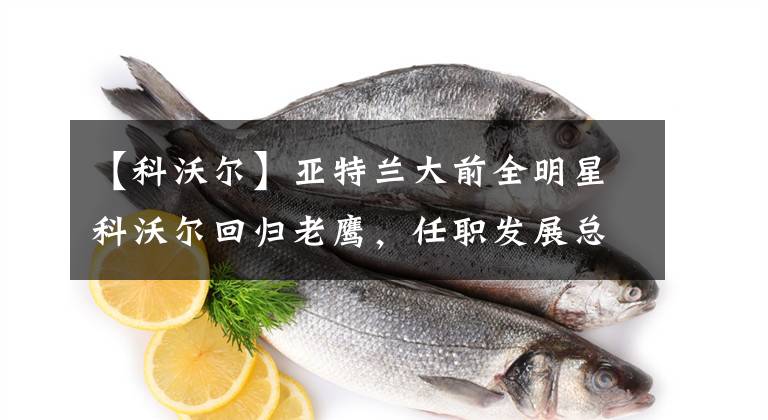 【科沃尔】亚特兰大前全明星科沃尔回归老鹰，任职发展总监