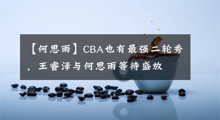 【何思雨】CBA也有最强二轮秀，王睿泽与何思雨等待盛放