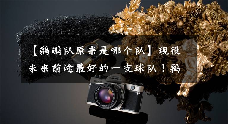 【鹈鹕队原来是哪个队】现役未来前途最好的一支球队！鹈鹕队真是又年轻又有天赋啊！