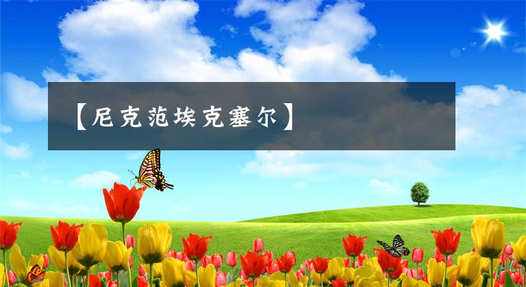【尼克范埃克塞尔】