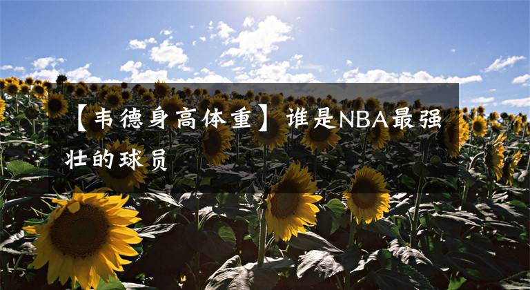 【韦德身高体重】谁是NBA最强壮的球员