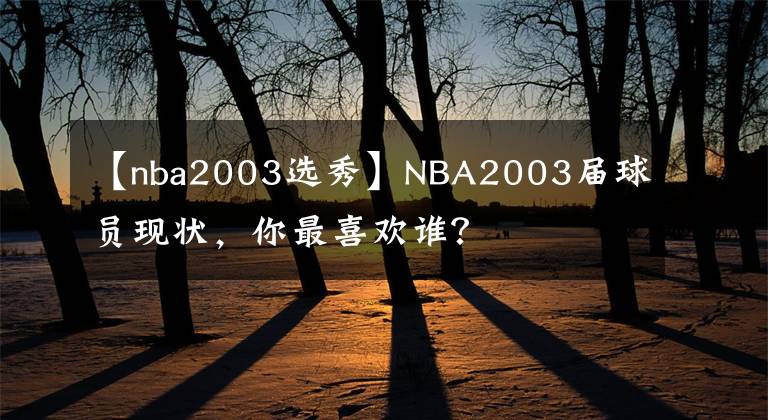 【nba2003选秀】NBA2003届球员现状，你最喜欢谁？