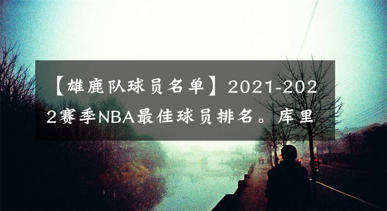 【雄鹿队球员名单】2021-2022赛季NBA最佳球员排名。库里第四，詹姆斯第三