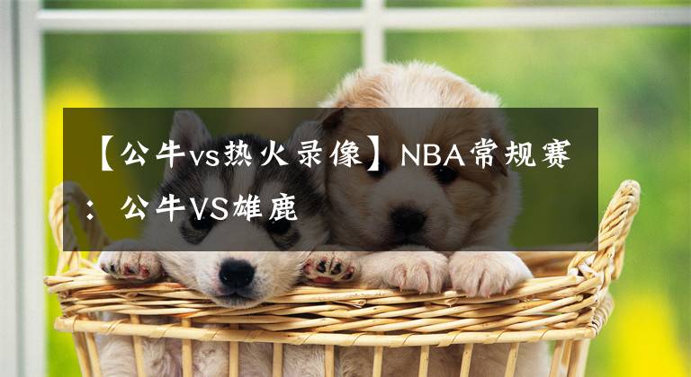【公牛vs热火录像】NBA常规赛：公牛VS雄鹿
