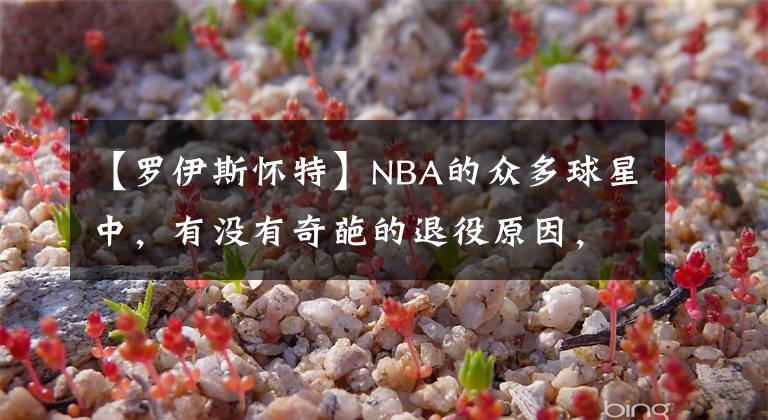 【罗伊斯怀特】NBA的众多球星中，有没有奇葩的退役原因，都有谁呐