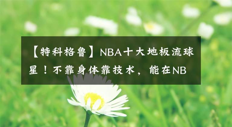 【特科格鲁】NBA十大地板流球星！不靠身体靠技术，能在NBA混成啥样？
