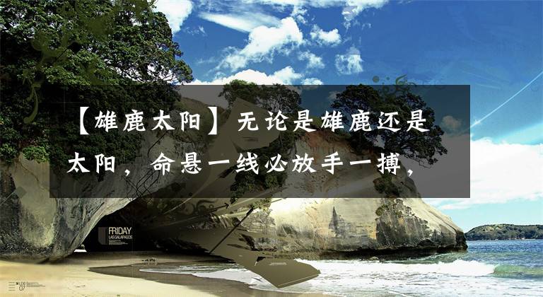 【雄鹿太阳】无论是雄鹿还是太阳，命悬一线必放手一搏，天王山是开始也是结束