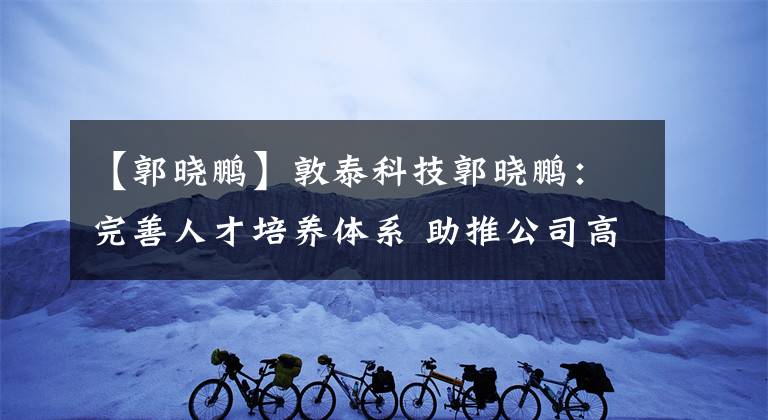 【郭晓鹏】敦泰科技郭晓鹏：完善人才培养体系 助推公司高质量发展