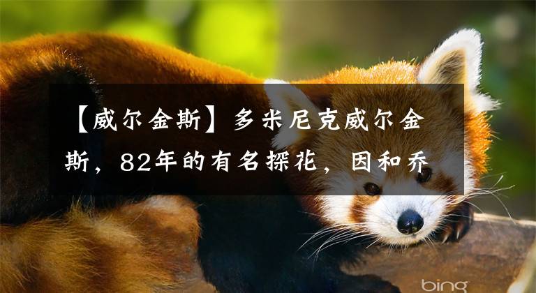 【威尔金斯】多米尼克威尔金斯，82年的有名探花，因和乔丹打球出名