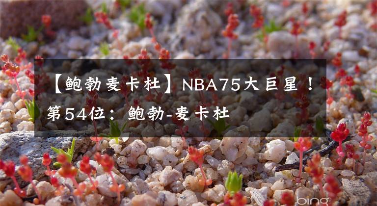 【鲍勃麦卡杜】NBA75大巨星！第54位：鲍勃-麦卡杜