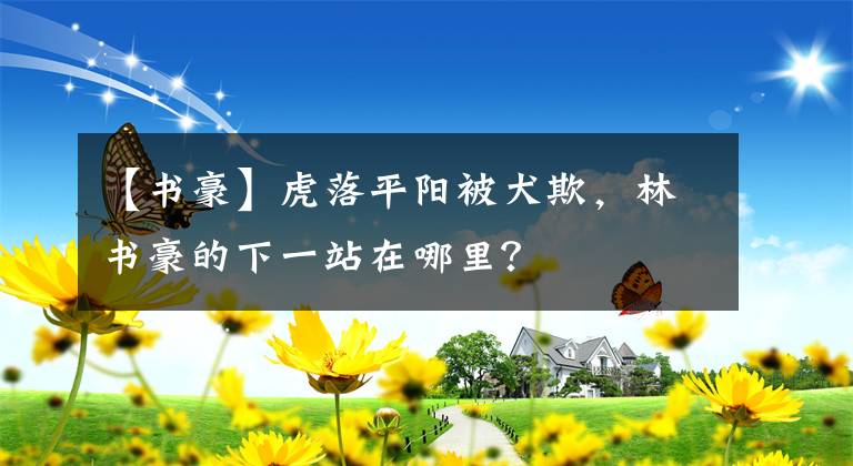 【书豪】虎落平阳被犬欺，林书豪的下一站在哪里？