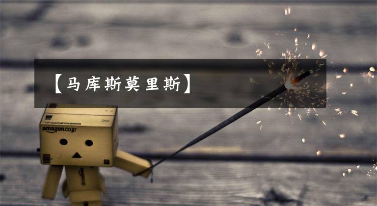 【马库斯莫里斯】
