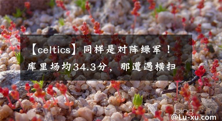 【celtics】同样是对阵绿军！库里场均34.3分，那遭遇横扫的杜兰特呢？