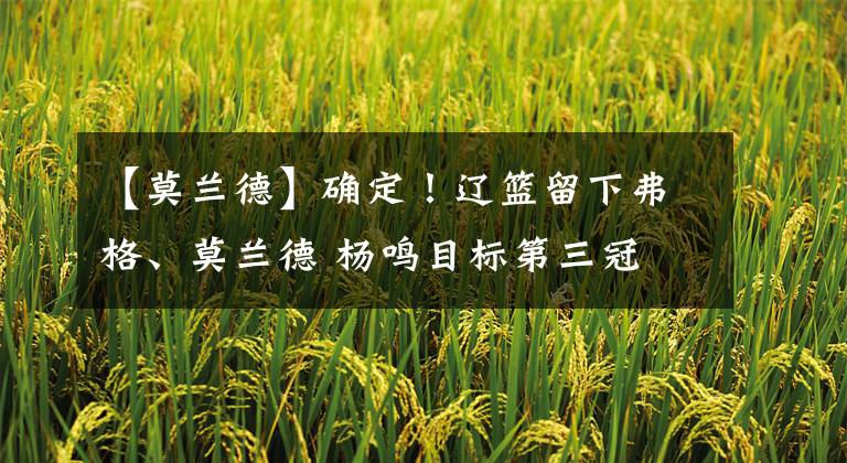 【莫兰德】确定！辽篮留下弗格、莫兰德 杨鸣目标第三冠 26岁后卫成最大输家