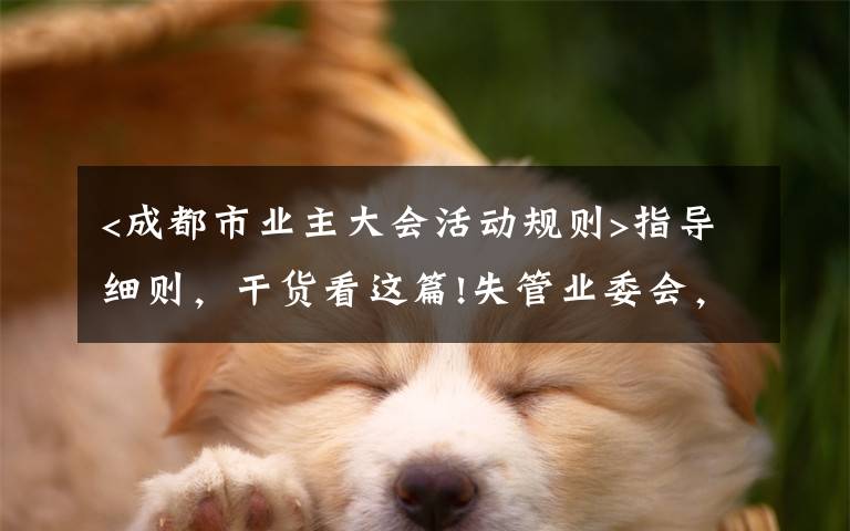 <成都市业主大会活动规则>指导细则，干货看这篇!失管业委会，成了“添堵会”：部分业委会运行乱象调查