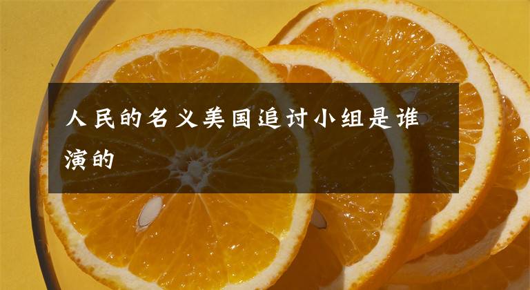 人民的名义美国追讨小组是谁演的