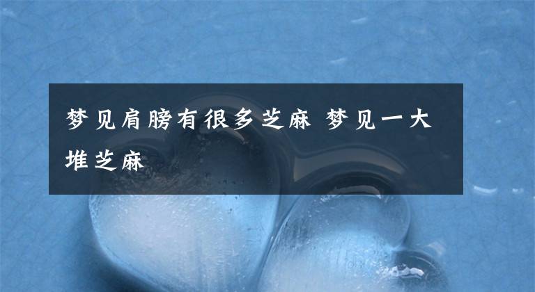 梦见肩膀有很多芝麻 梦见一大堆芝麻